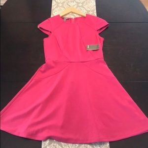 [Muse] New! Stitch Fix Fuchsia Size 8P Dress